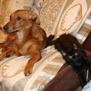 ���� ������, �����-��������� - ��������� 14 ���� 2023 � ������ ���� ����������