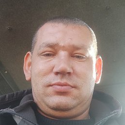 ���������, ���������, 37 ���