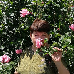 ���� ������, ������, 67 ��� - ��������� 22 �������� 2023