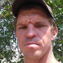 �������, ������, 40 ���