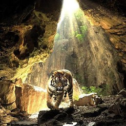 ���� ������, ������ ��������, 47 ��� - ��������� 7 ������� 2023