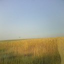 ���� �������, ����������, 59 ��� - ��������� 4 ���� 2023