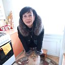 ���� �������, ������� - ��������� 17 ��� 2023 � ������ ���� ����������