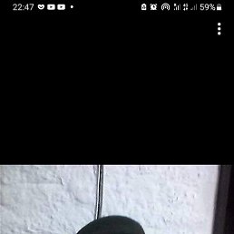 Rafael, �����, 41 ���