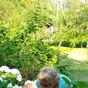 �.�. �� ���� � ������� �� ������� ��. �.�