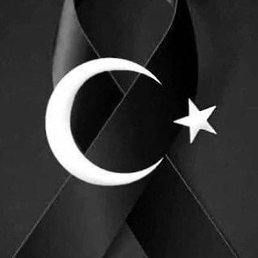 Mr, ������, 43 ����