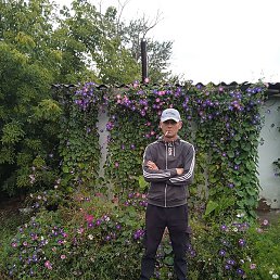 ���������, ������, 37 ���