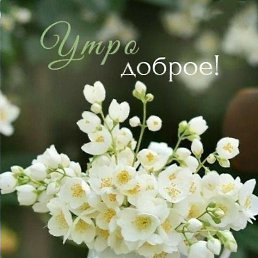 ���� �����, ���������, 44 ���� - ��������� 1 ���� 2023