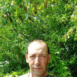 ���� �������, ��������, 48 ��� - ��������� 14 ���� 2023