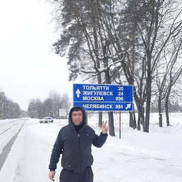 �����, ������, 46 ���