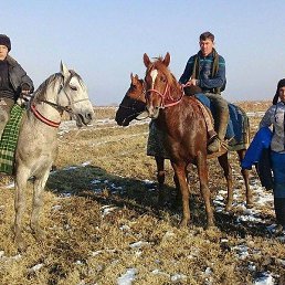 ������, �����, 54 ����