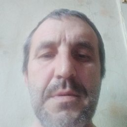 �����, �����, 46 ���