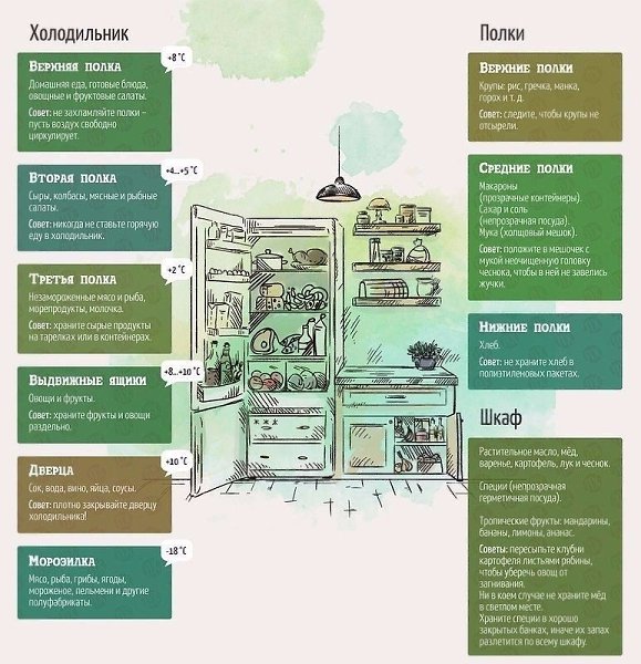Правильно храним продукты.И тогда они всегда будут свежими и вкусными