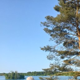 Akmal, �������, 49 ���