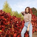 ���� �����, �����-���������, 26 ��� - ��������� 19 ������� 2023 � ������ ���� ����������