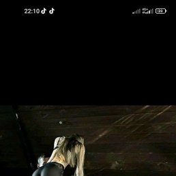 Hovo, �������, 38 ���