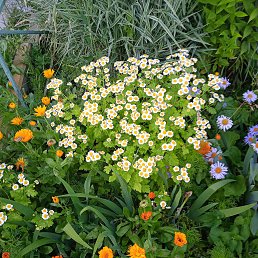 ���� �������, ����, 70 ��� - ��������� 22 ���� 2023