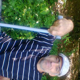 ���� ������, ���������, 49 ��� - ��������� 1 ����� 2023