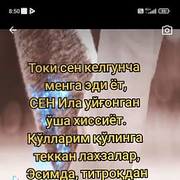 ������, �����-���������, 40 ���