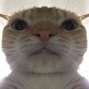 ���� �����, �����-���������, 26 ��� - ��������� 11 ����� 2023 � ������ ���� ����������