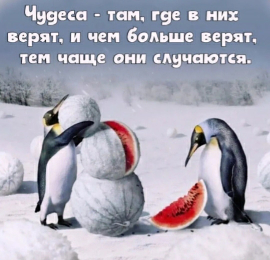 �������� - 4 ����� 2023 � 21:42