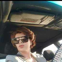 ������, ���������, 56 ���