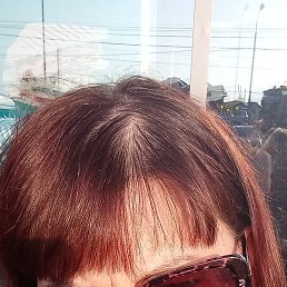 �����, ������, 46 ���