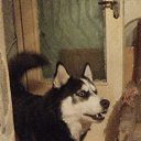 ���� �����, ������, 43 ���� - ��������� 15 ������ 2023 � ������ ���� ����������