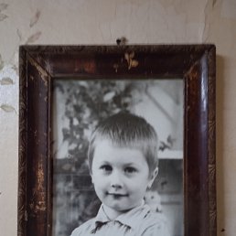 ���� �������, �����, 49 ��� - ��������� 4 ��� 2023