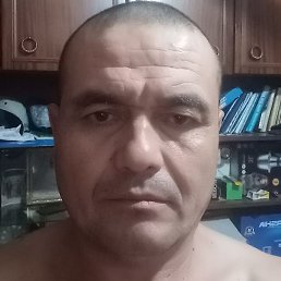 ������, �����, 47 ���