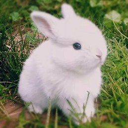 ����, ������, 30 ���