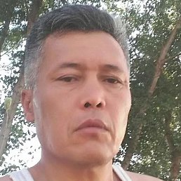 �������, ��, 51 ���