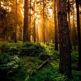 ���� ����, ������, 39 ��� - ��������� 19 ���� 2023