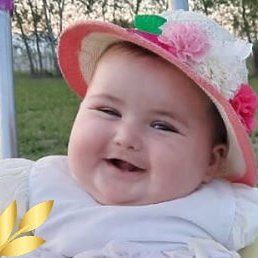 ����, ���������, 41 ���