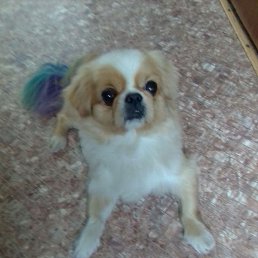 �����, ������, 38 ���