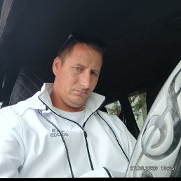 �����, �������, 39 ���