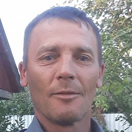 ������, �����������, 50 ���