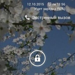 ���� �������, ����������, 59 ��� - ��������� 22 ��� 2023