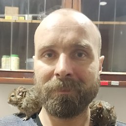 �������, �����, 43 ����