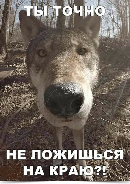 ~~ ~ ~~ ~ ~~ ~ ~~ ~ ~~ ~ ~~