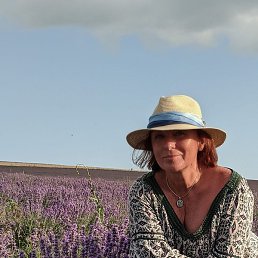 �����, ������, 61 ���