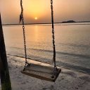 ���� �����, ������, 26 ��� - ��������� 3 ������� 2023 � ������ ���� ����������