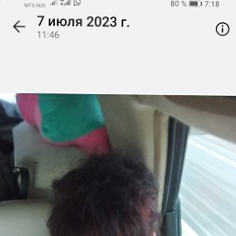 ���� ��������, ������ ��������, 55 ��� - ��������� 28 �������� 2023
