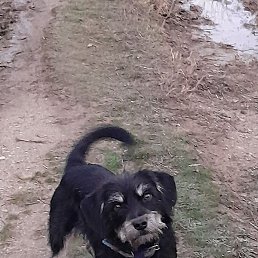 ������, ������, 55 ���