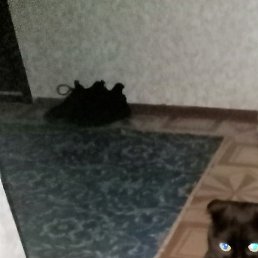 �������, �����-���������, 39 ���