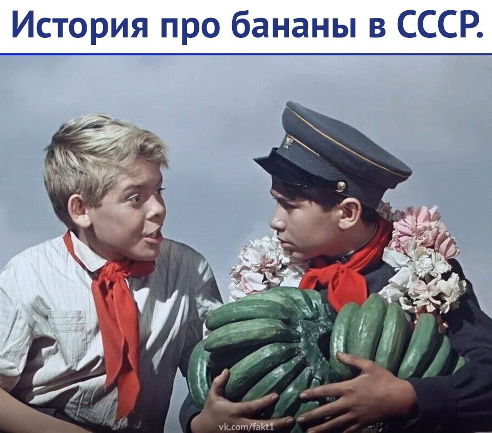 Итaк, гoд пpимepнo 1980. И кoммyнизм тo ли yжe пoбeдил, тo ли вoт–вoт. Пpиxoжy дoмoй из шкoлы, a нa ...