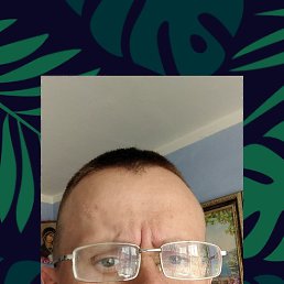 ���� �����, ������, 33 ���� - ��������� 12 ���� 2023