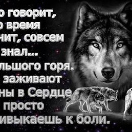 ���� �����, ���������, 52 ���� - ��������� 14 ���� 2023