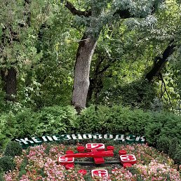 �����, ������, 39 ���