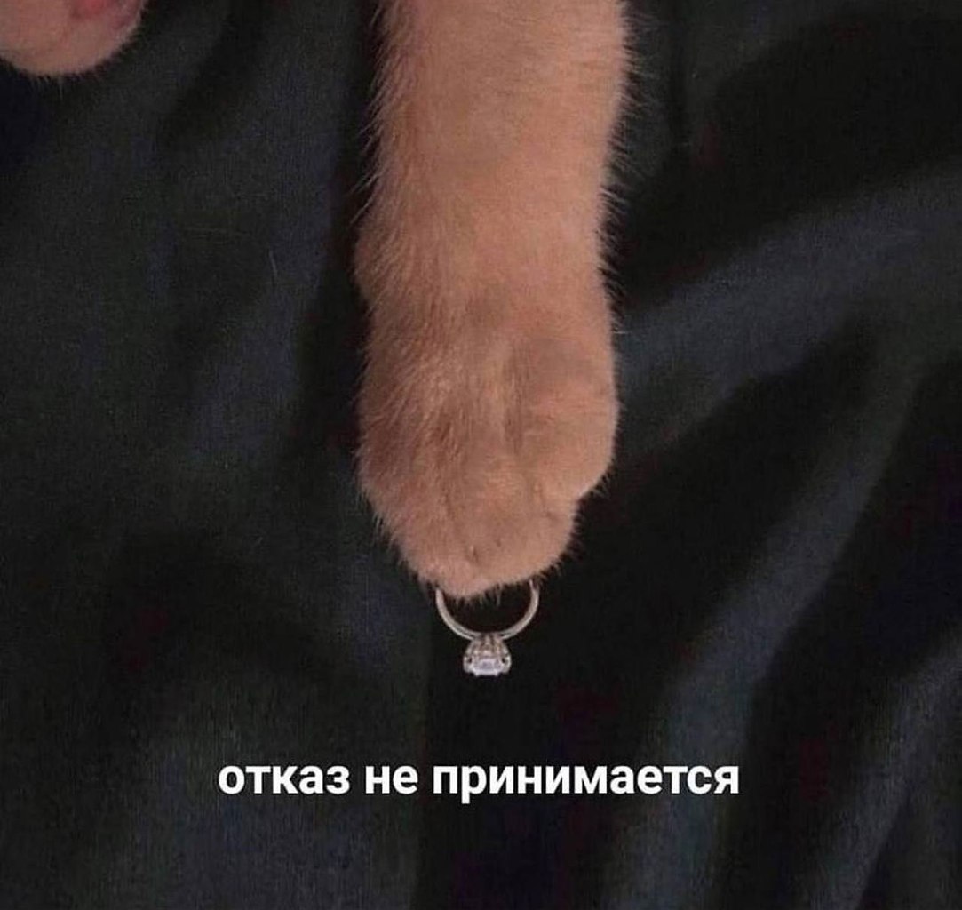    - 7  2023  22:13